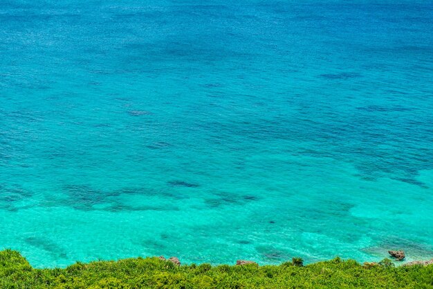 High angle view of sea shore