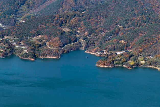 High angle view of sea and trees