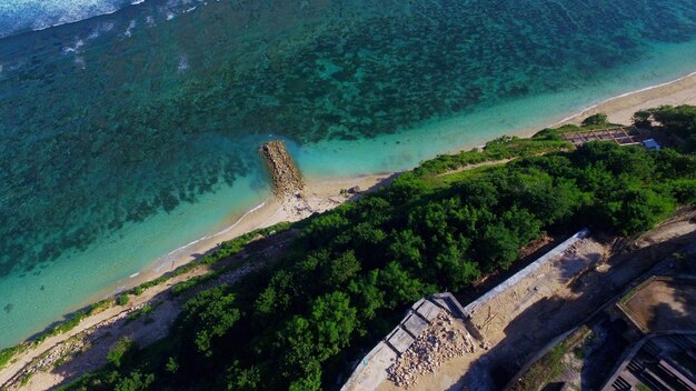 High angle view of sea and trees