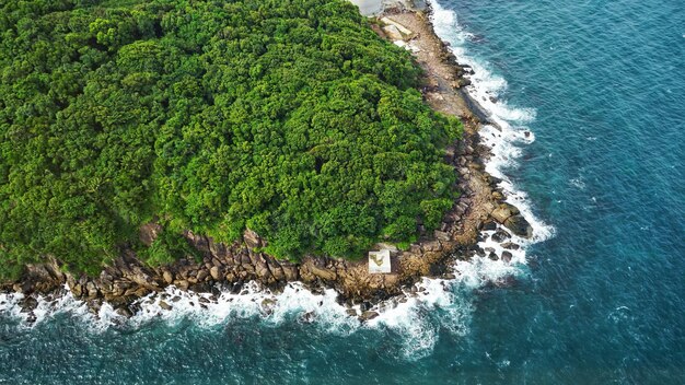 High angle view of sea and trees