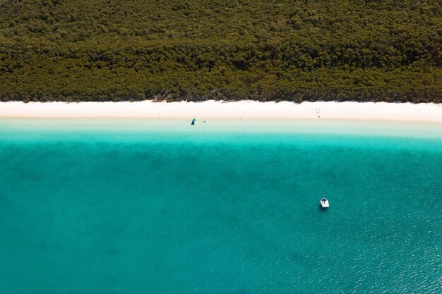 High angle view of sea white sand beach and surrounding vegetation