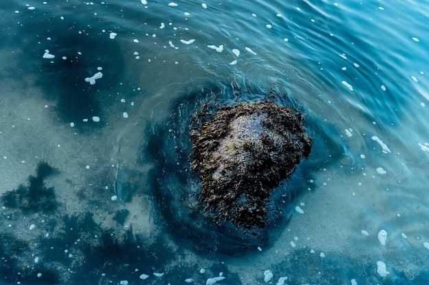 Foto vista ad alto angolo del mare