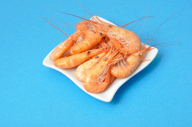 High angle view of seafood on table