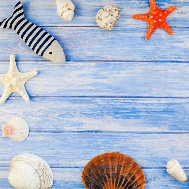 Photo high angle view of seashells on table