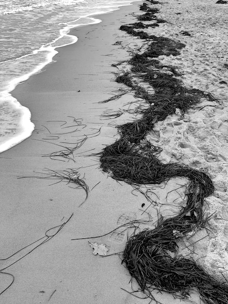 Foto vista ad alta angolazione dell'ombra sulla spiaggia