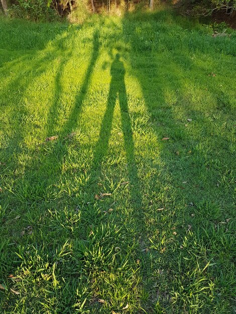 High angle view of shadow on field