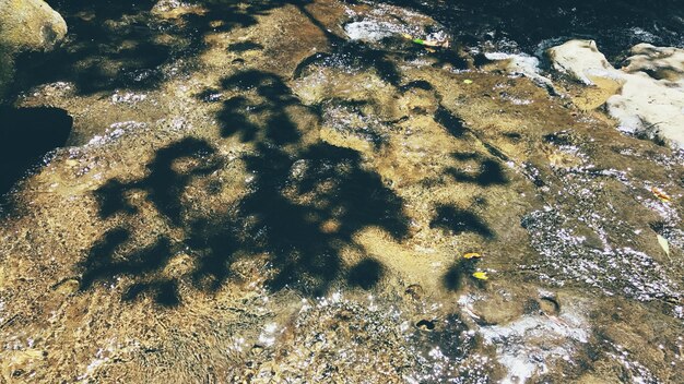 Foto vista ad alto angolo dell'ombra sull'acqua