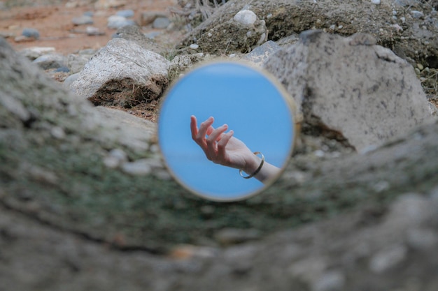 High angle view of shell on rock