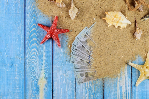 High angle view of shells on wood