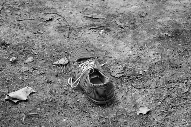 high angle view of shoe on field