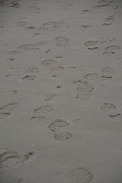 Photo high angle view of shoe prints at beach