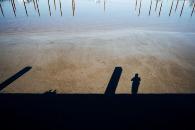 Foto vista ad alto angolo della silhouette di una persona in piedi sulla terraferma