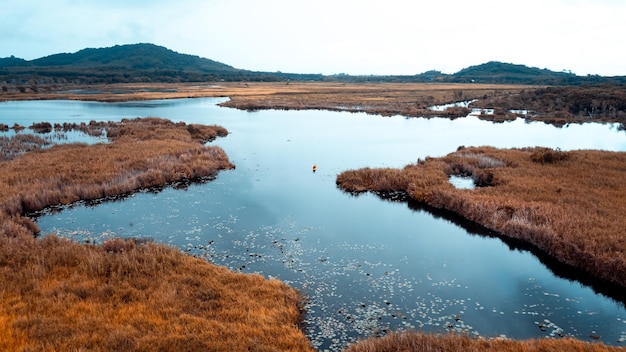 High angle view of small tourist kayaking in the black lake and dry orange meadow photographer drone of point view