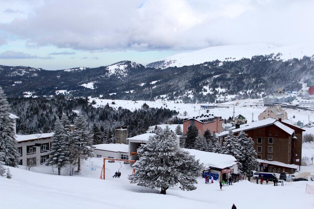 Foto vista ad alta angolazione del paesaggio coperto di neve