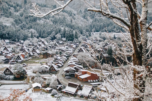 Vista ad alta angolazione di alberi e case coperte di neve