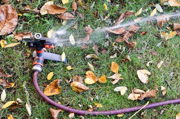 Foto vista ad alta angolazione di un irrigatore che spruzza acqua nel cortile