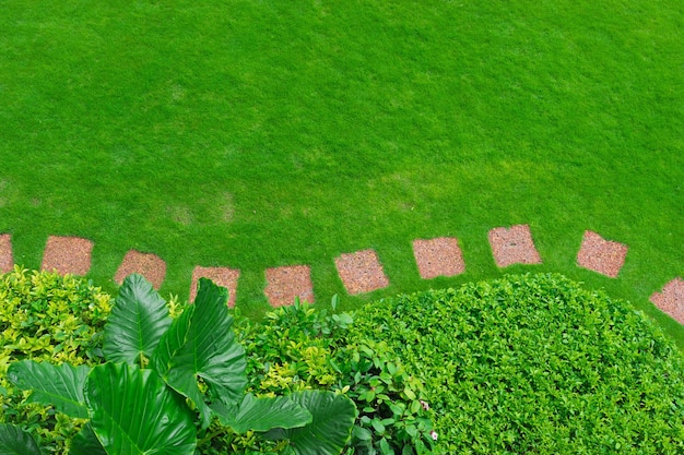 Photo high angle view of stepping stones and grassy field in garden