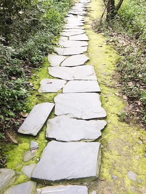 Photo high angle view of stone wall