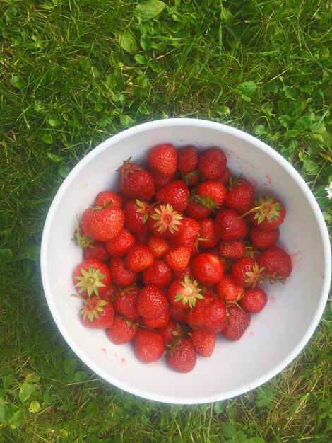 High angle view of strawberries in bowl on field