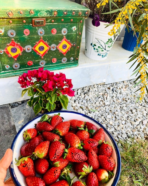 Photo high angle view of strawberries on plant