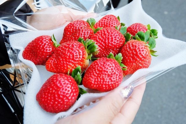 High angle view of strawberries in plate