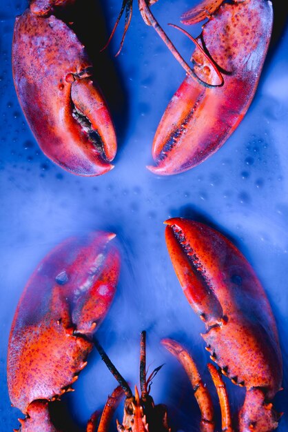 High angle view of strawberries in sea