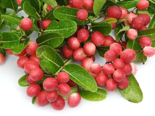 High angle view of strawberries