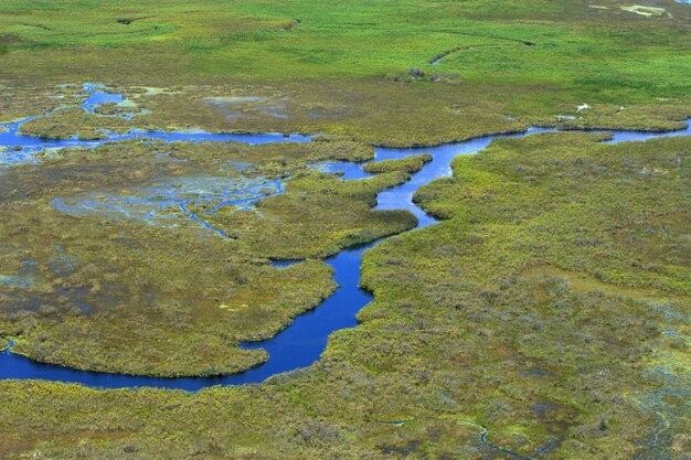 High angle view of stream amidst grassy field