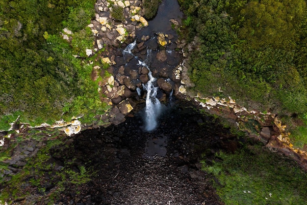 Foto vista ad alto angolo del ruscello in mezzo agli alberi della foresta