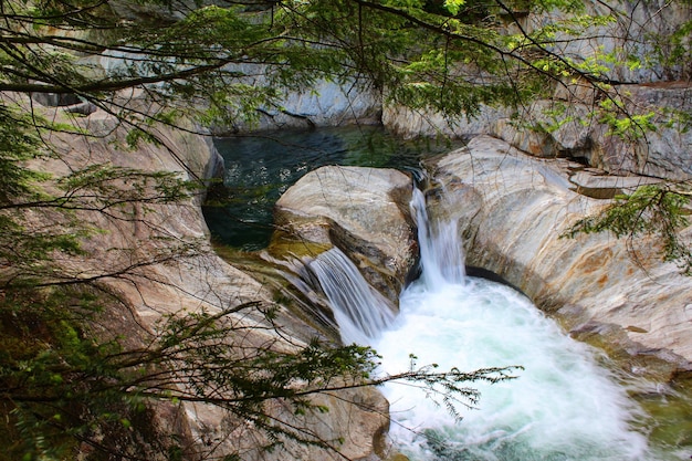 high angle view of stream amidst trees