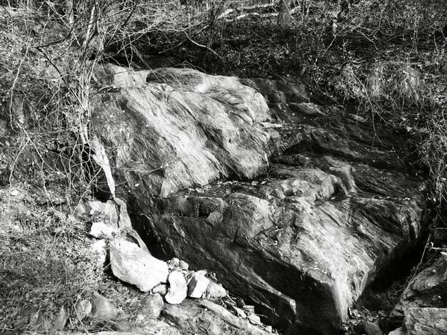 Foto vista ad alto angolo di un ruscello che scorre tra le rocce