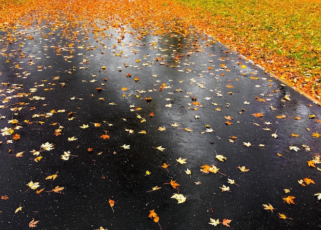 Foto vista ad alto angolo della strada