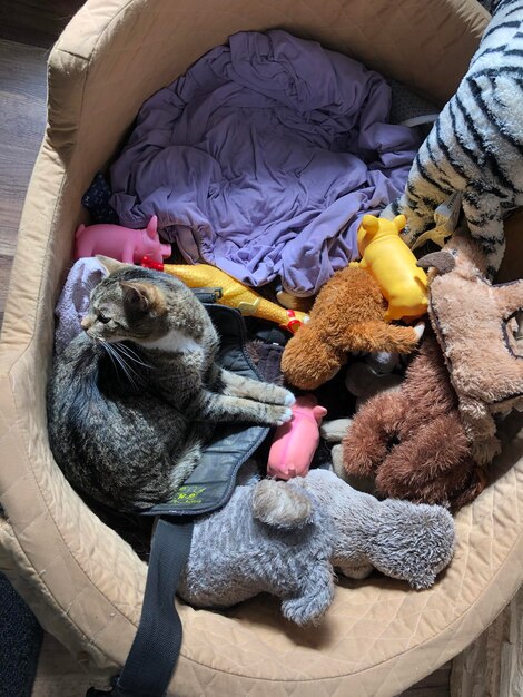 Photo high angle view of stuffed toy on bed