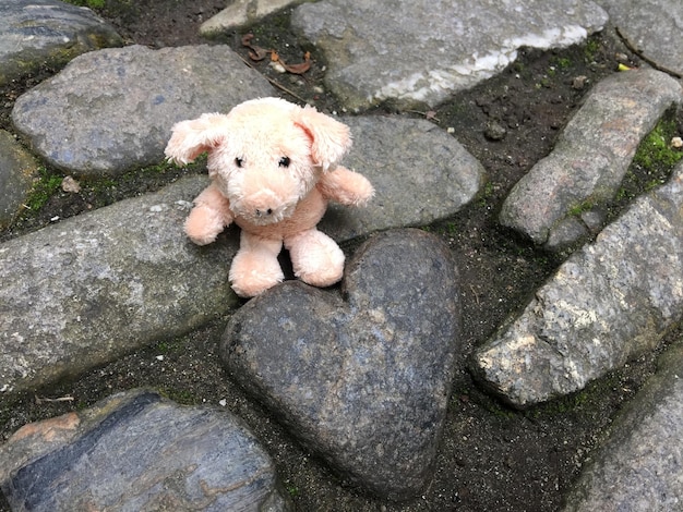 High angle view of stuffed toy in rock