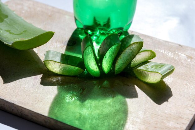 High angle view of succulent plant on table