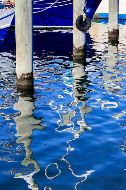 Foto vista ad alta angolazione del nuoto nel lago