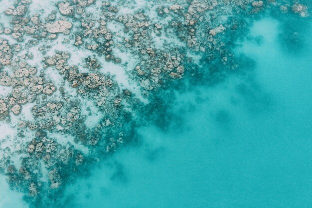 Foto vista ad alto angolo della piscina