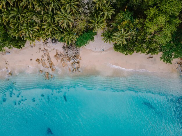 High angle view of swimming pool