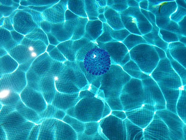 High angle view of swimming pool