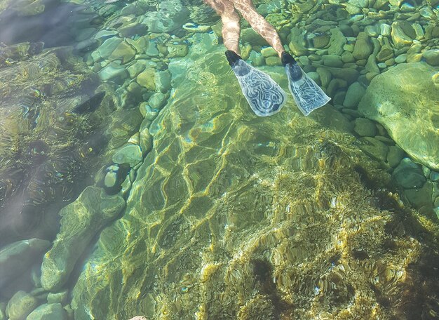 Foto vista ad alta angolazione del nuoto in mare