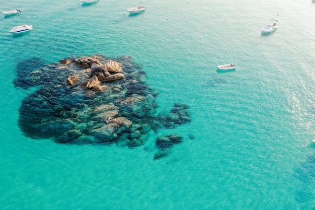 High angle view of swimming underwater in sea