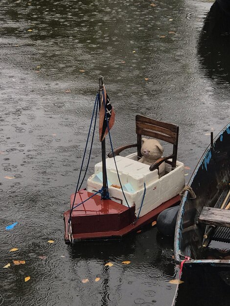 Foto vista ad alta angolazione dell'orso di peluche su una barca in mare