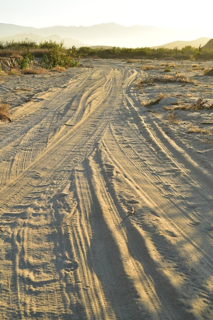 Photo high angle view of tire tracks on road