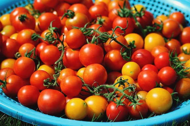 High angle view of tomatoes in basket for sale