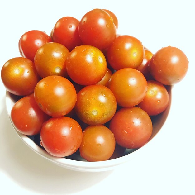 그 에 있는 토마토 의 높은 각도 시각