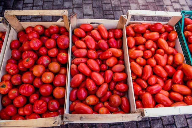 High angle view of tomatoes for sale at market