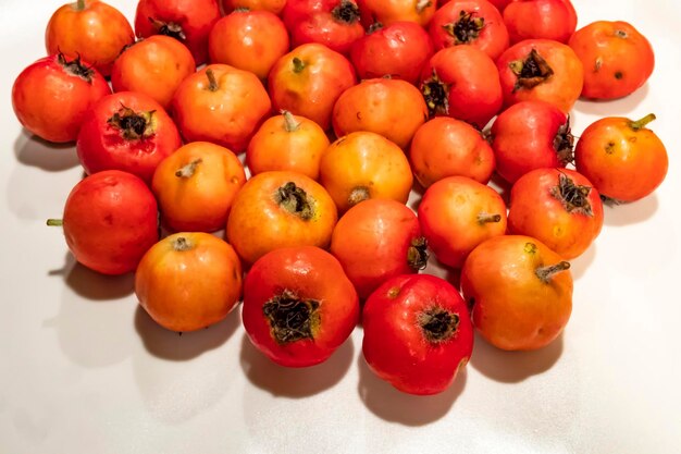 High angle view of tomatoes