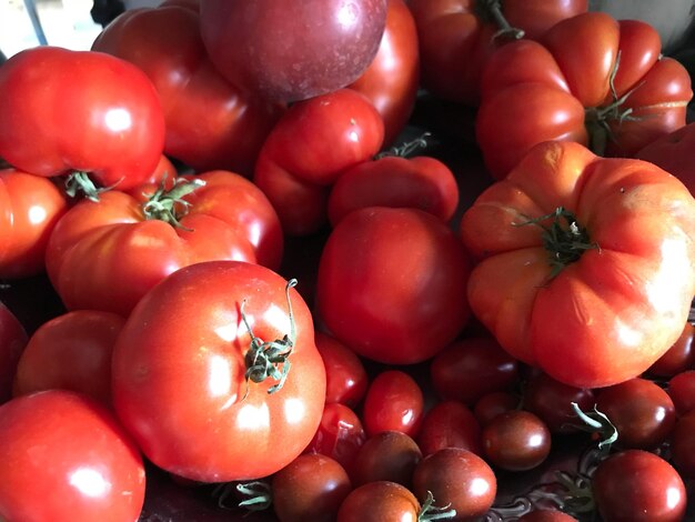 High angle view of tomatoes