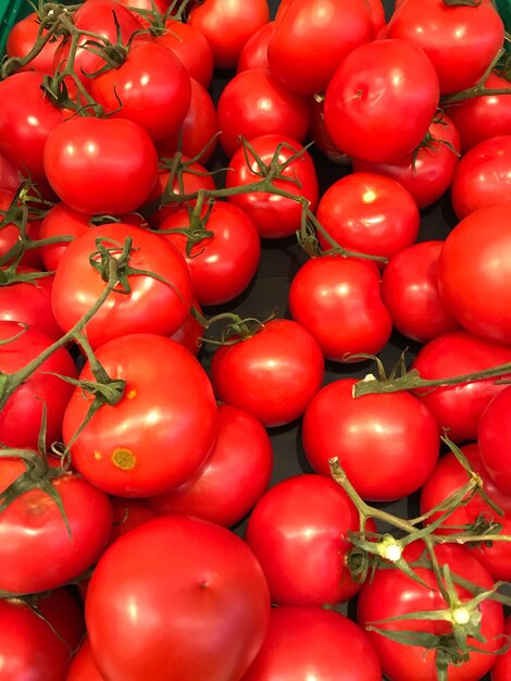 High angle view of tomatoes