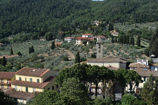 Foto vista ad alto angolo del paesaggio cittadino e degli alberi in città